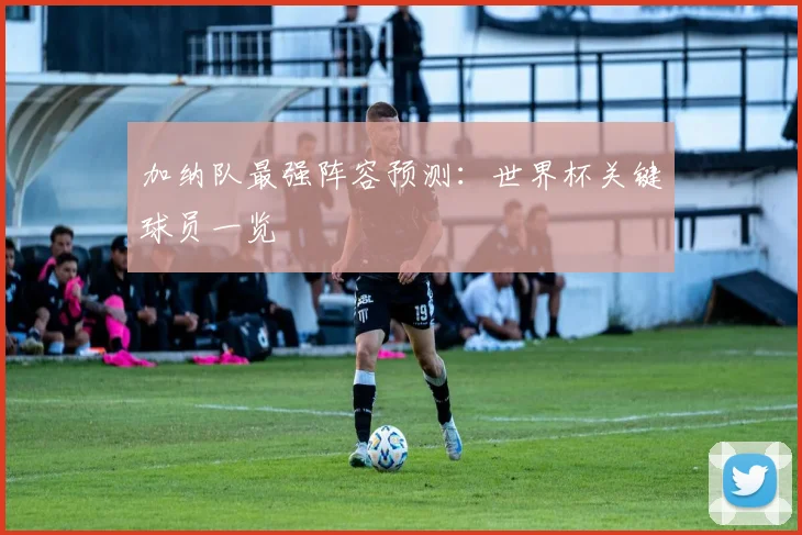 加纳队最强阵容预测：世界杯关键球员一览